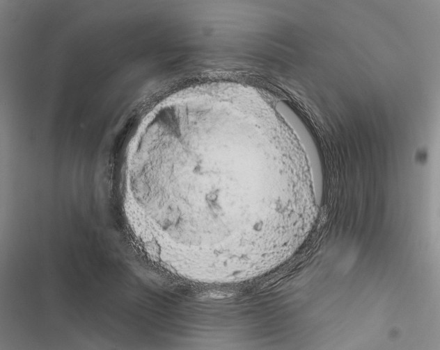 X0000116430691201001191511