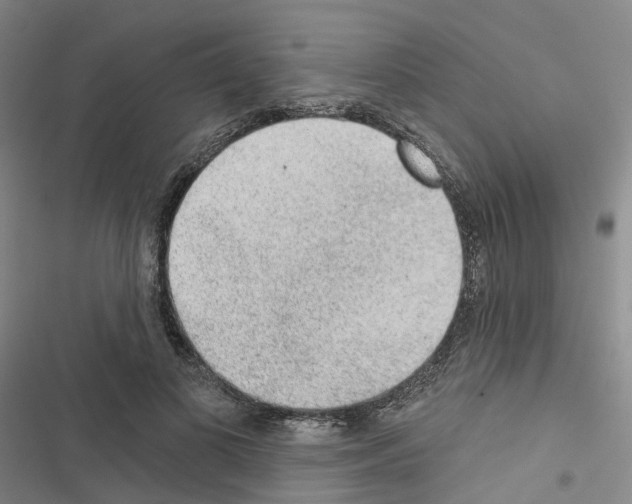 X0000116430693201001191511