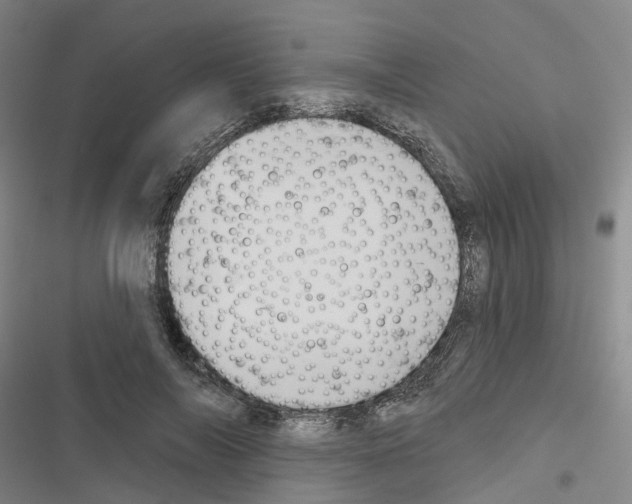 X0000116430694201001191511