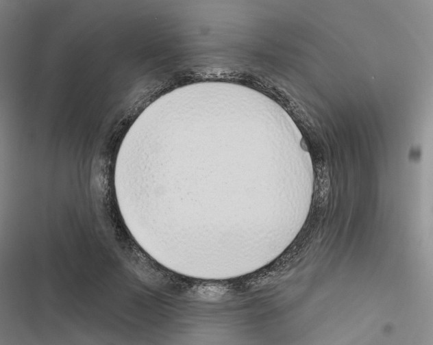 X0000116430695201001191511