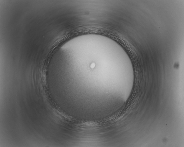 X0000116430696201001191511