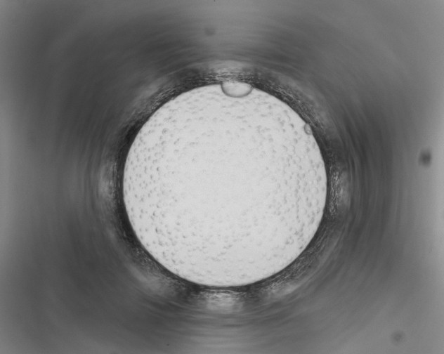 X0000116430698201001191511
