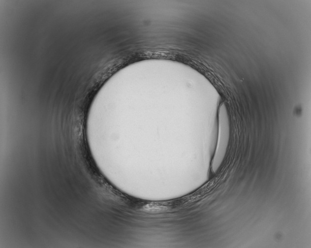 X0000116430699201001191511