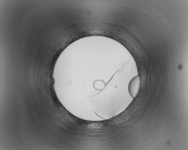 X0000116430700201001191511