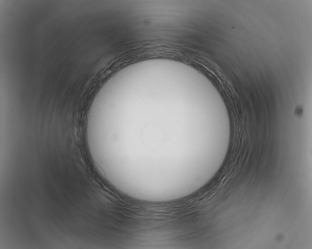 X0000116430701201001191511