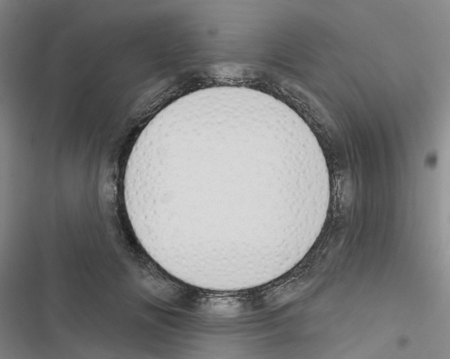 X0000116430702201001191511