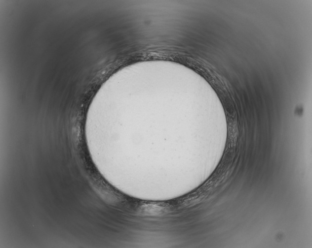 X0000116430703201001191511
