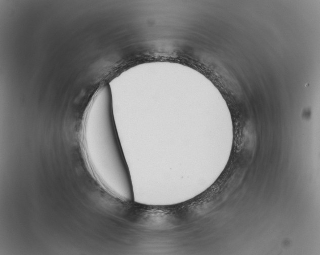 X0000116430704201001191511