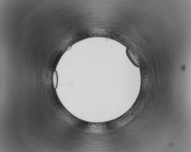 X0000116430708201001191511
