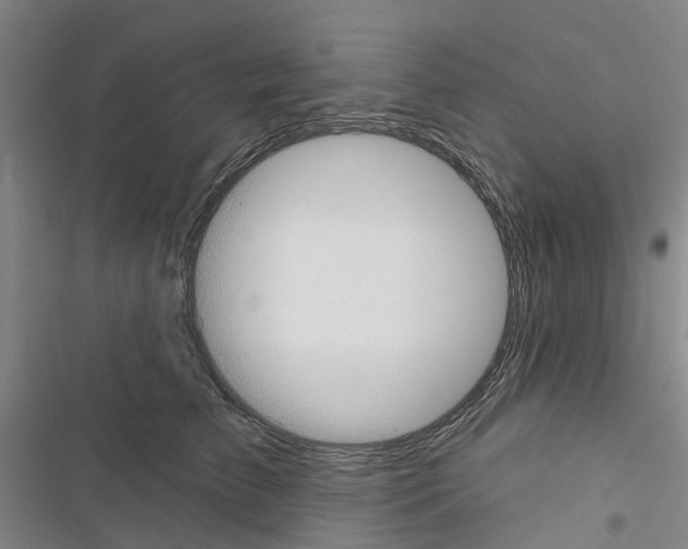 X0000116430709201001191511