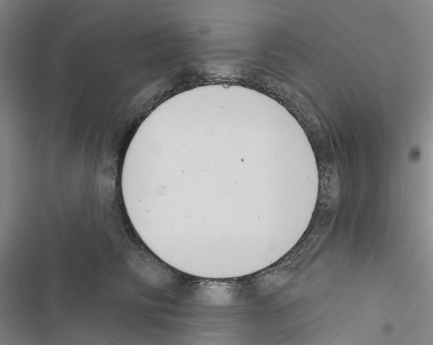 X0000116430710201001191511