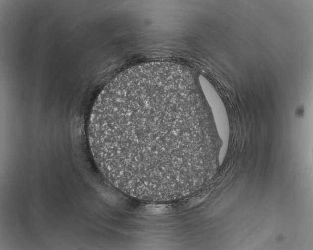 X0000116430711201001191511