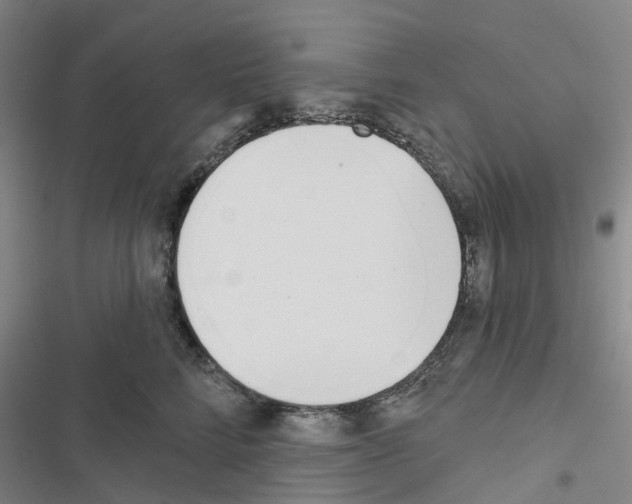 X0000116430712201001191511