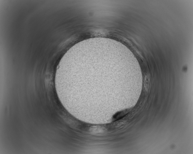 X0000116430714201001191511