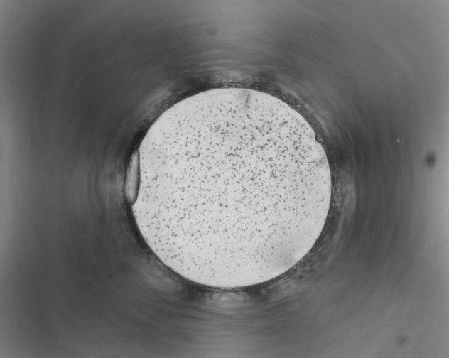 X0000116430716201001191511