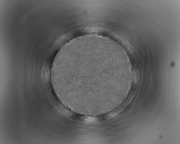 X0000116430718201001191511