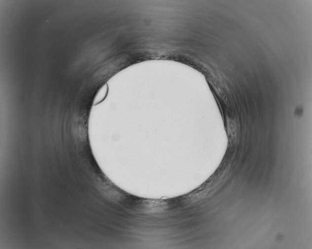 X0000116430719201001191511
