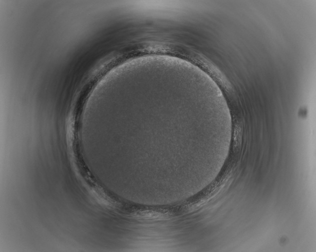 X0000116430722201001191510