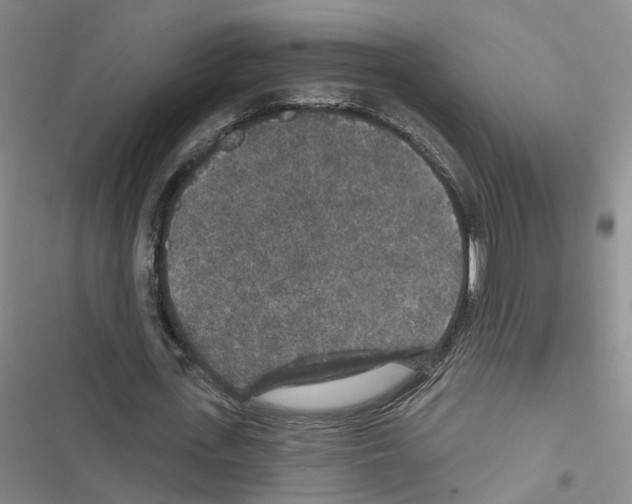 X0000116430723201001191510