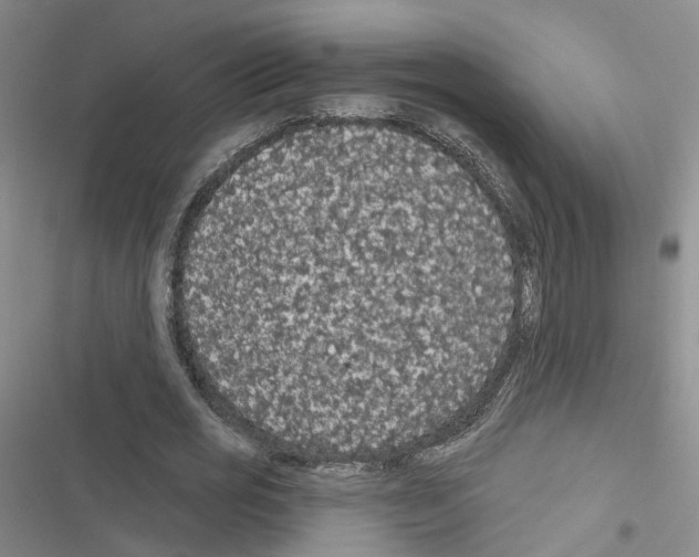 X0000116430725201001191510
