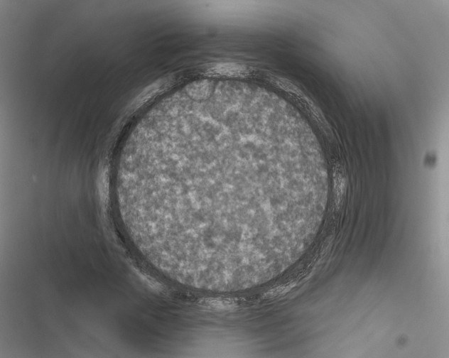 X0000116430729201001191510
