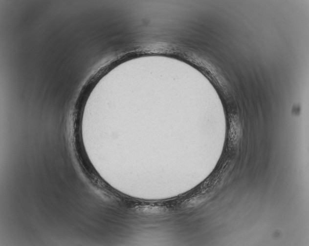 X0000116430730201001191510