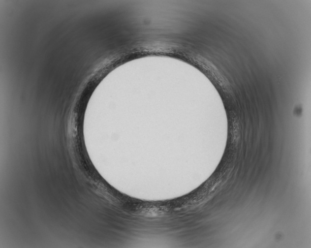 X0000116430731201001191510