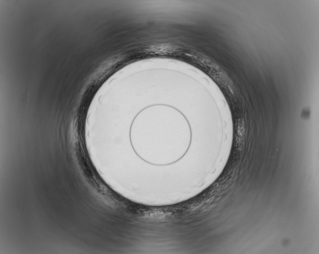 X0000116430734201001191510