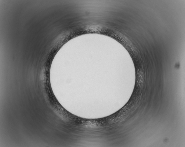 X0000116430738201001191510