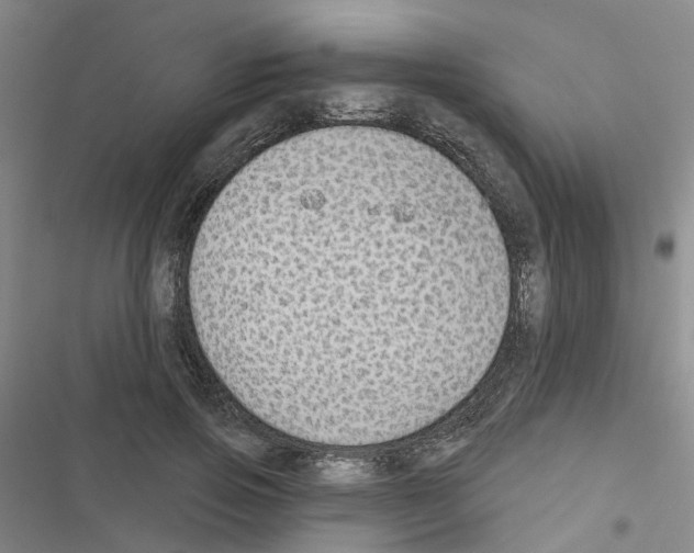 X0000116430741201001191510