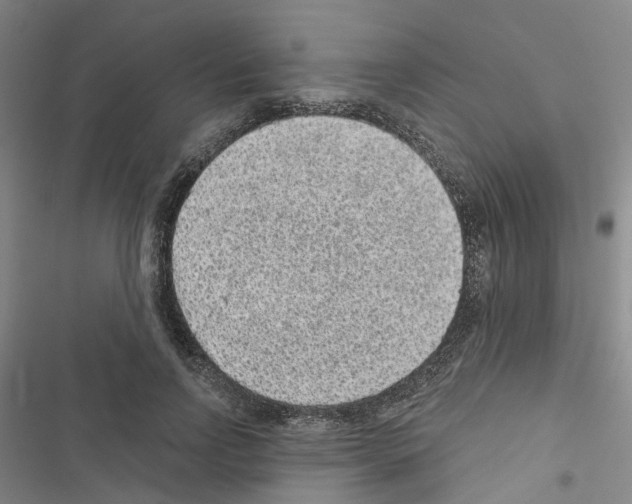 X0000116430742201001191510