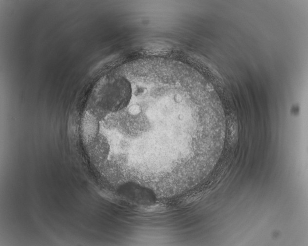 X0000116430745201001191510
