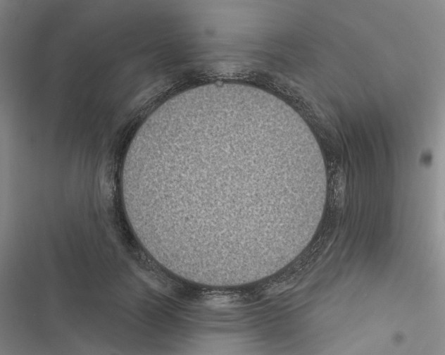 X0000116430746201001191510