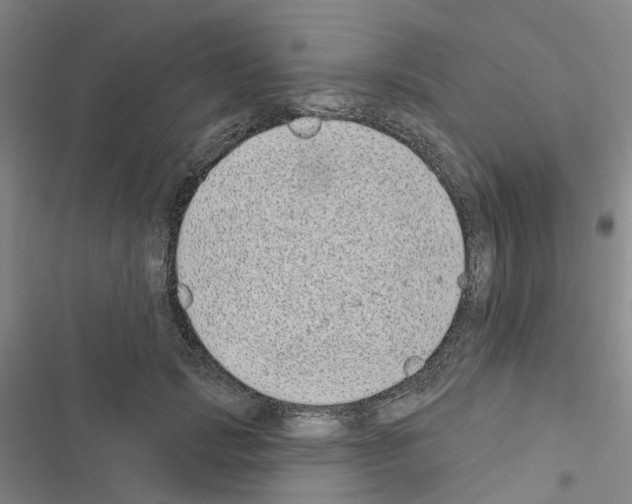 X0000116430749201001191510