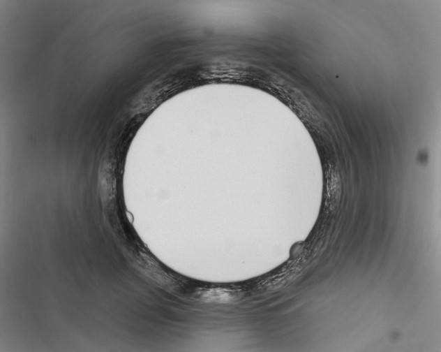 X0000116430751201001191510