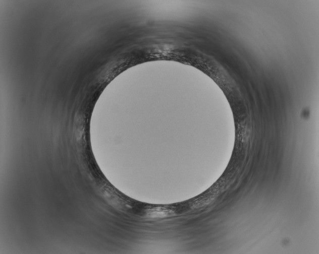 X0000116430754201001191510