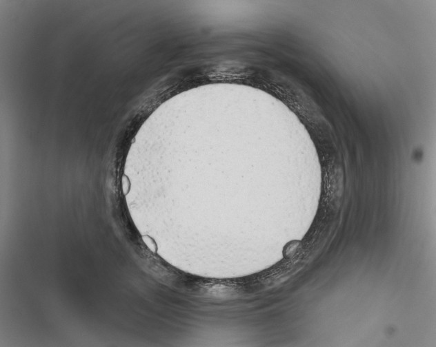 X0000116430755201001191510