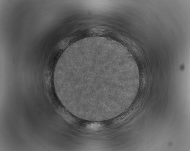 X0000116430759201001191511
