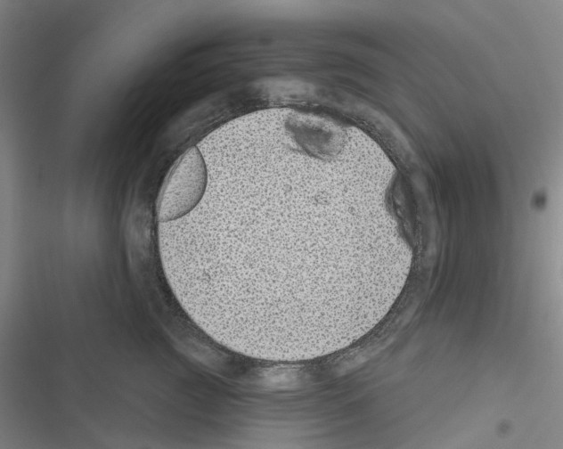 X0000116430761201001191511