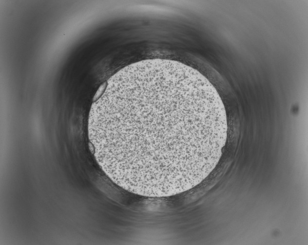 X0000116430762201001191511
