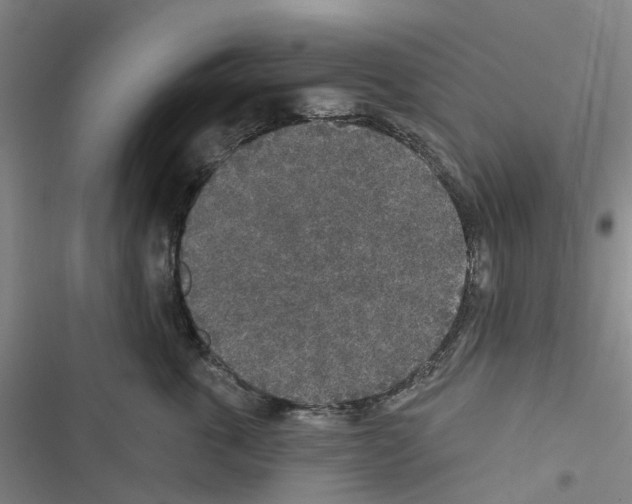 X0000116430763201001191511