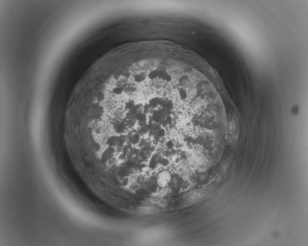 X0000116430765201001191511