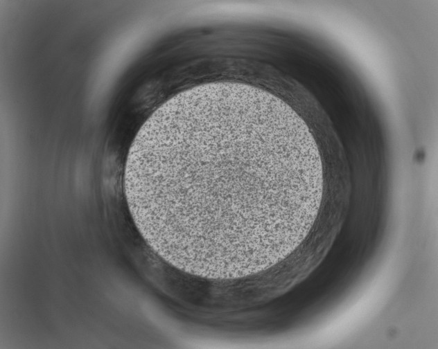 X0000116430766201001191511