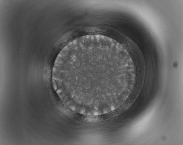 X0000116430767201001191511