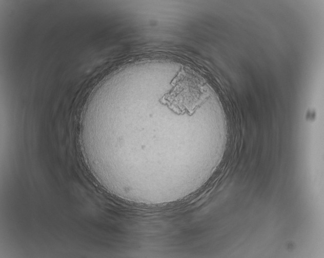 X0000116430769201001191510