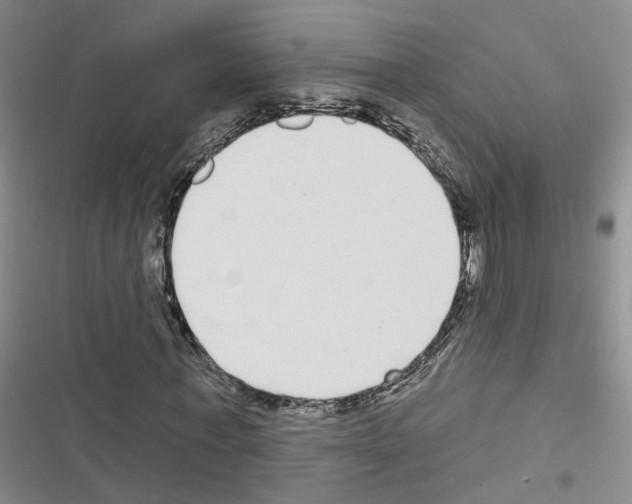 X0000116430771201001191510
