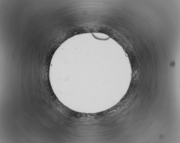X0000116430772201001191510