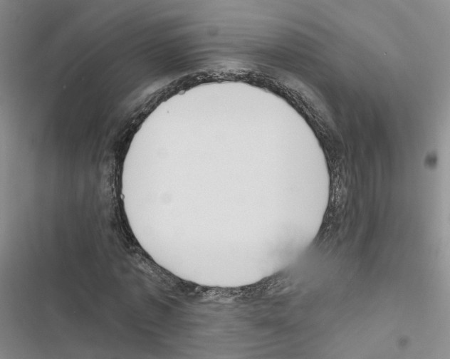 X0000116430773201001191510