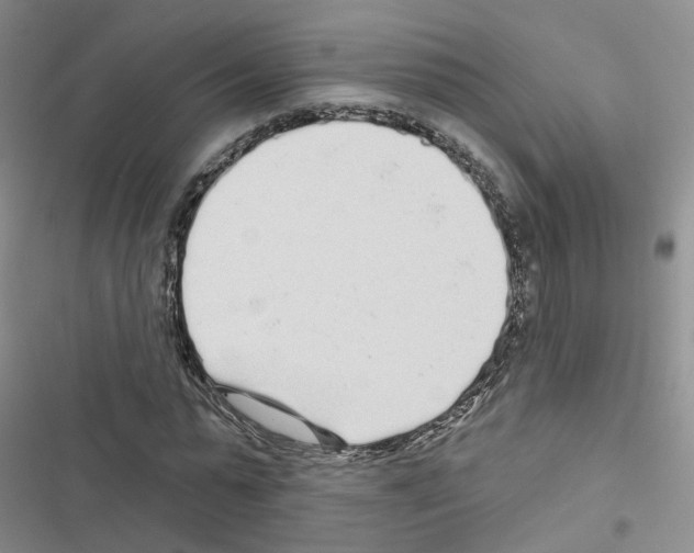 X0000116430775201001191510