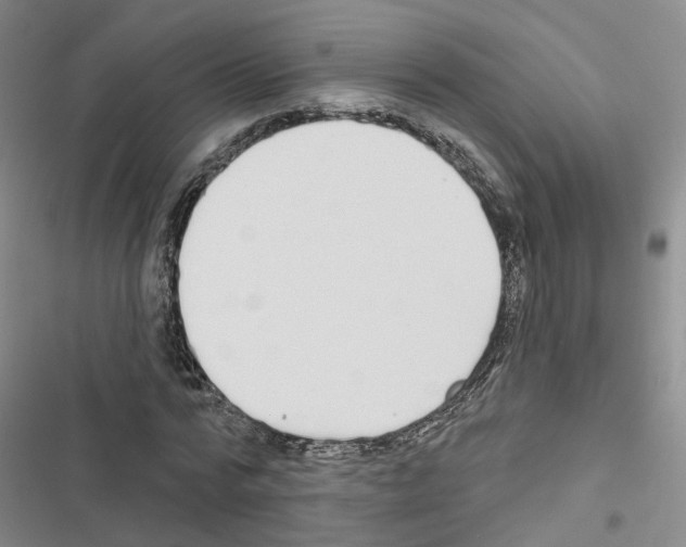 X0000116430776201001191510